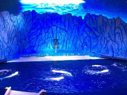 珠海长隆海洋王国一日一夜游攻略,珠海长隆海洋王国攻略两天一夜