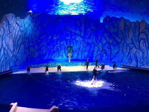 珠海长隆海洋王国一日一夜游攻略,珠海长隆海洋王国攻略两天一夜