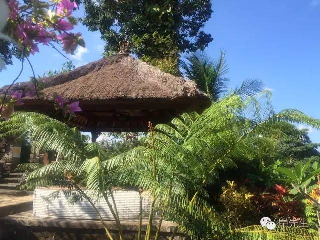 巴厘岛六天自由行攻略,巴厘岛旅游攻略spa