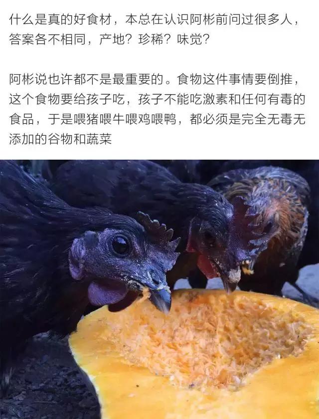 大概认识这个男人后，所有人都想做一只鸡。