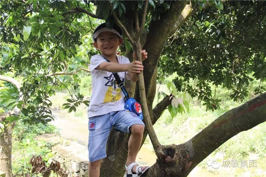 广东短途自驾一日游从化,4-5月份最佳自驾一日游