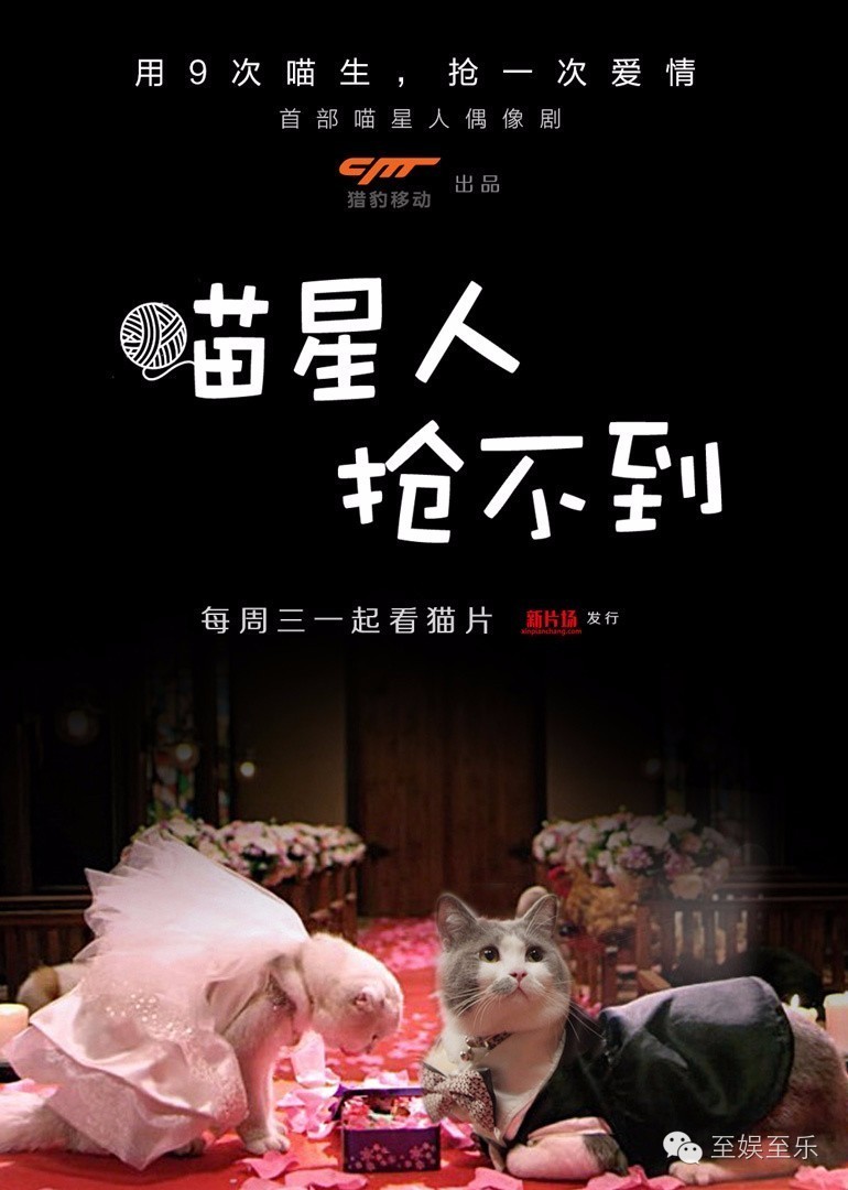 前方萌宠来袭！这些大陆宠物剧你都看过吗？