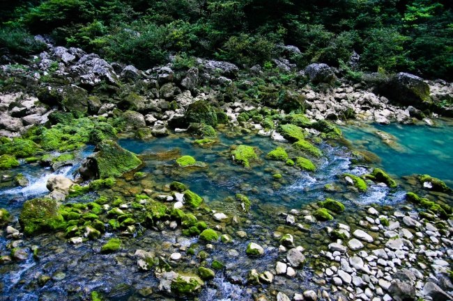 一辆车一家三口出去玩,一辆车带你旅行