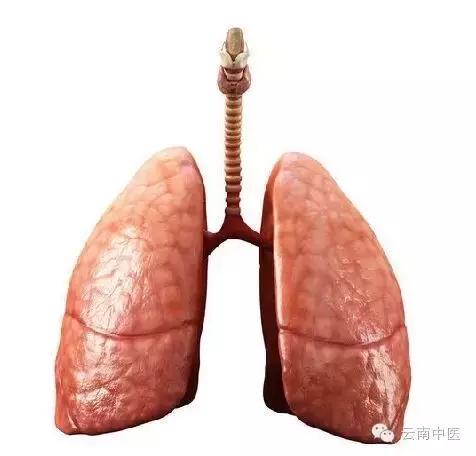 手指脚趾化脓,脚趾发炎化脓治疗后多久能好