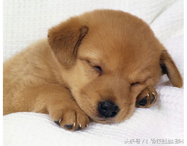 word办公操作技巧打印,word书籍折页打印设置技巧超实用