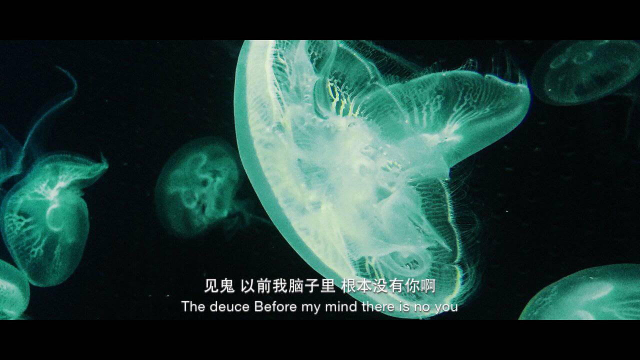 水母死后会变成水不留痕迹,水母死后真的会变成一滩水吗