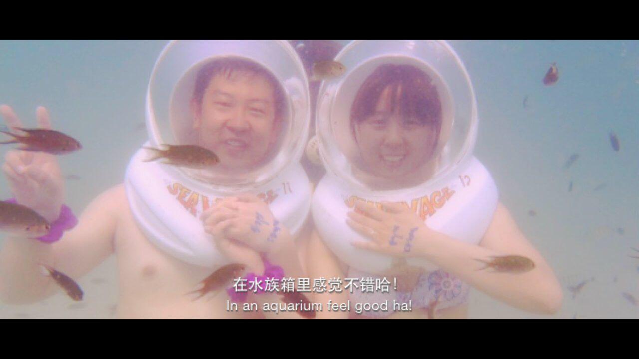 水母死后会变成水不留痕迹,水母死后真的会变成一滩水吗