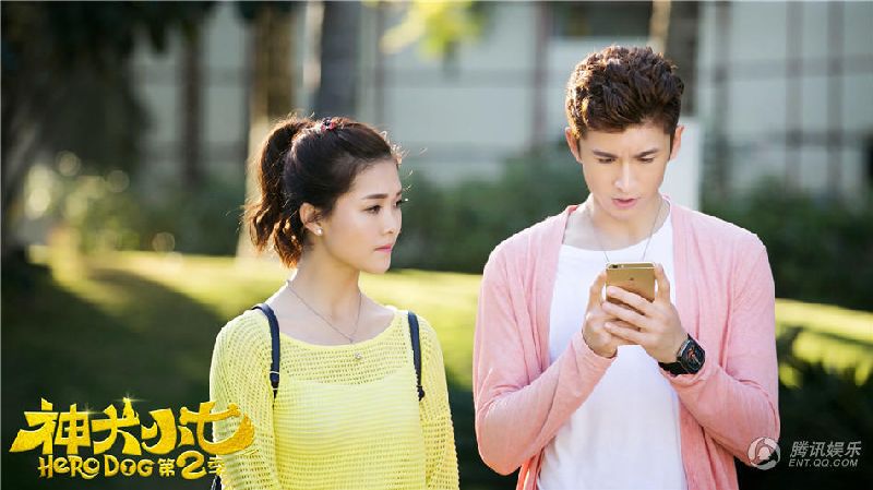 不一样的儿童狗狗,不一样的可爱的小狗狗