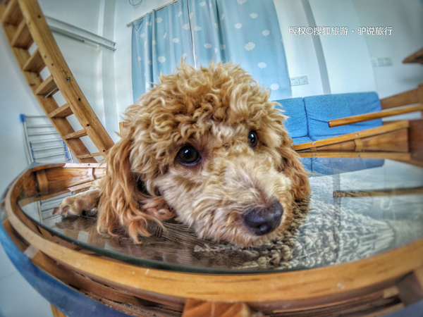 国内绝美海岛北海涠洲岛,中国十大最美海岛涠洲岛