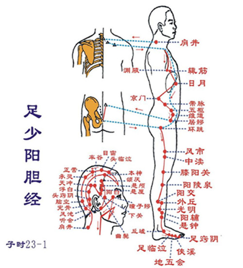 胆经淤堵头痛头晕,胆经堵塞长痘痘