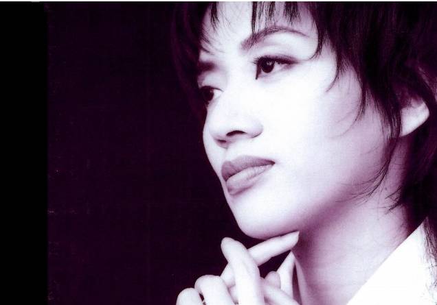 梅艳芳从感染到去世几年,梅艳芳是被谁传染的宫颈癌