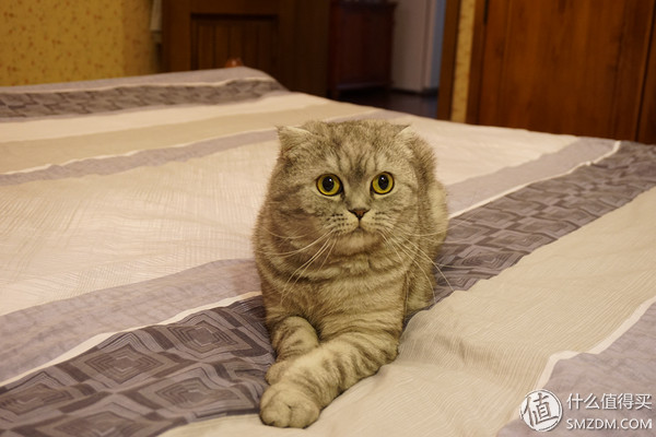 我的房子80平怎么装成200平,88平米厨房装修改造翻新视频