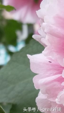 三星盖乐世c7如何使用bixby,三星盖乐世7参数表