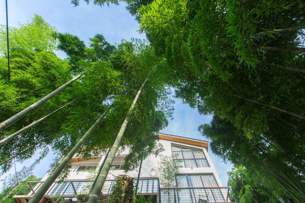 夏天去山上避暑好不好,莫干山下雨天旅游攻略详细