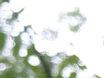 魅族mx6深度评测,魅族mx6曝光图