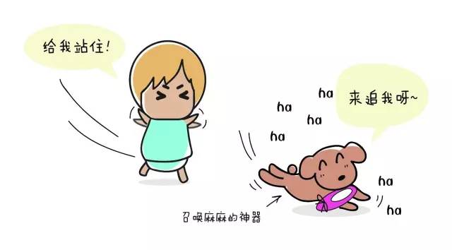 狗狗艾米搞破坏,狗狗为什么在家里搞破坏