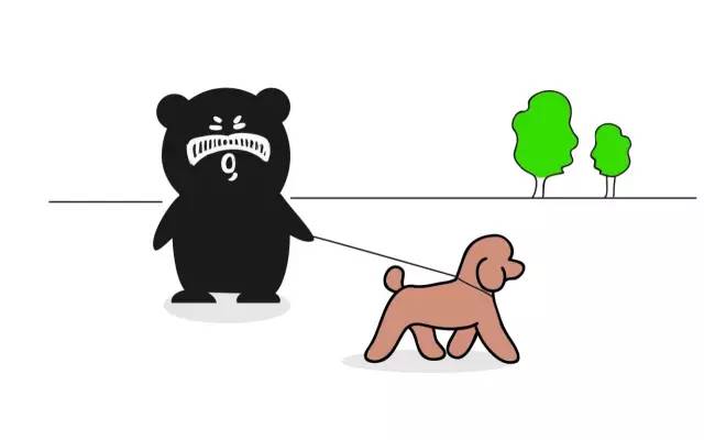 狗狗艾米搞破坏,狗狗为什么在家里搞破坏