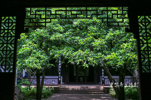 惠山古镇江南第一山介绍,江南第一古镇梅里古镇夜景