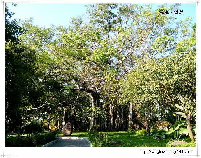 赌石之都,瑞丽翡翠赌石之旅