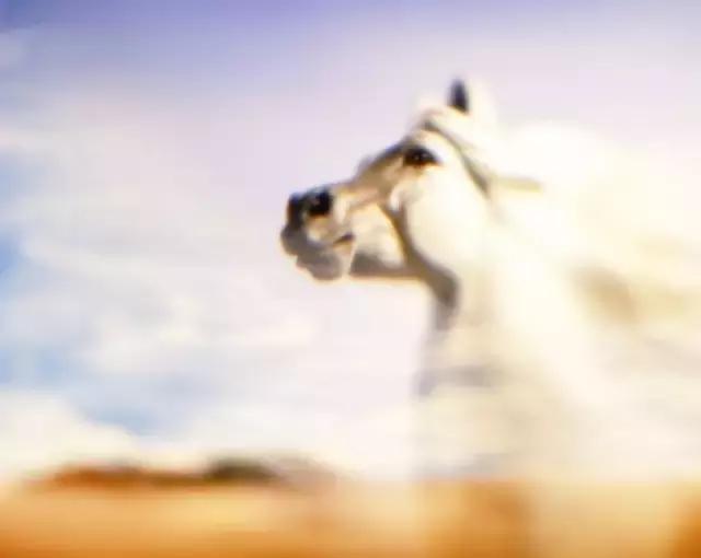 中国历史上的铁木真 (铁木真历史记)