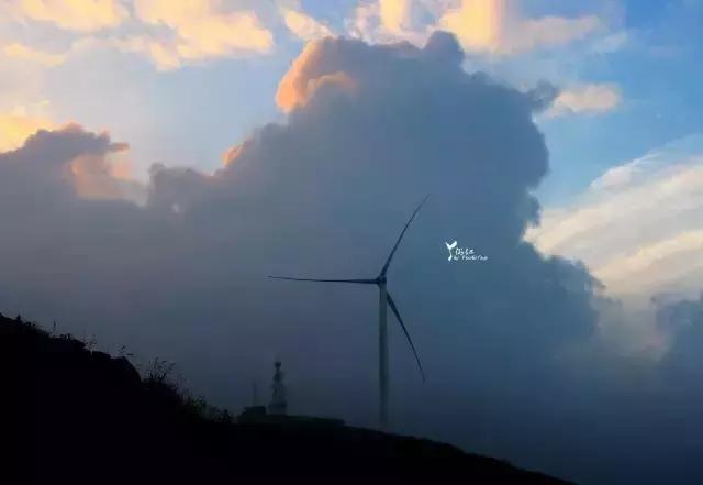 当百里荒遇上山楂树，预“谋”最纯爱的告白