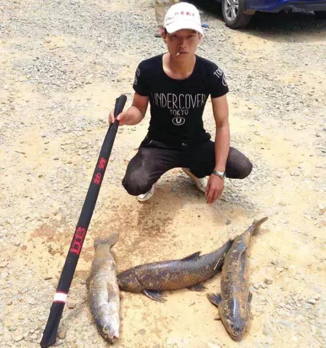 《渔获战报》大青鱼爆连引发的连环事件