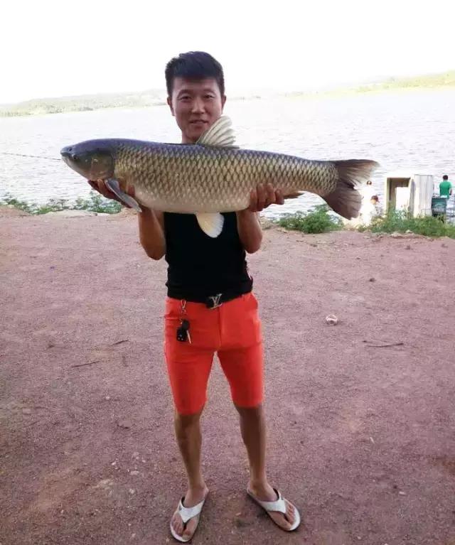 《渔获战报》大青鱼爆连引发的连环事件