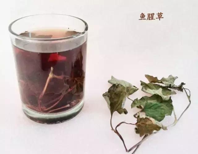 抗辐射的茶有哪些,抗辐射的能吃植物有哪些