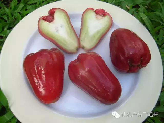 泰国如何分辨榴莲熟还是不熟,泰国产品从哪里查询真伪