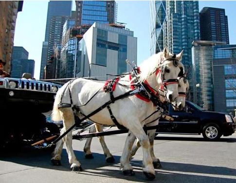 为了省油而买车,为了省油买了个日本车