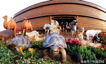 诺亚方舟故事,挪亚造方舟故事