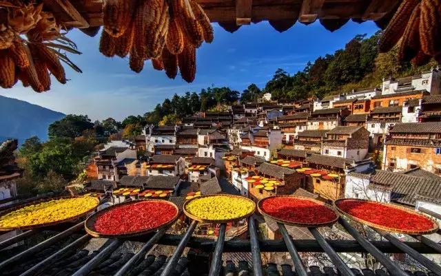 婺源市亲子游,江西婺源暑期亲子游