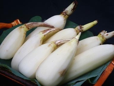 吃藕吃苦瓜,藕和莲菜