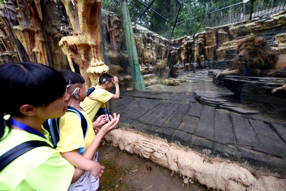 50名耳障儿童游贵阳野生动物园边看动物边学发音