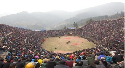 胜过世界杯开局的东方式斗牛，部族交流应撇开“赌注”低俗背景