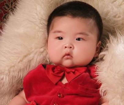 十二生肖哪个生肖最会生男孩,男孩最有福气的五大生肖