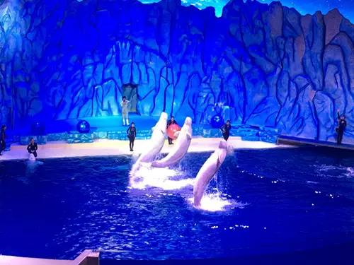 珠海长隆海洋王国一日一夜游攻略,珠海长隆海洋王国攻略两天一夜