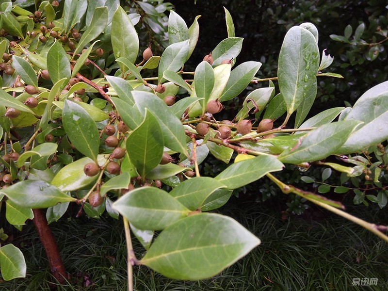 360n4s体验测评,360n4s骁龙版评测