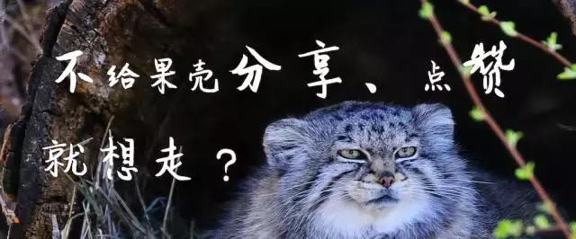 不被承认的科学,为什么老一辈容易信谣言