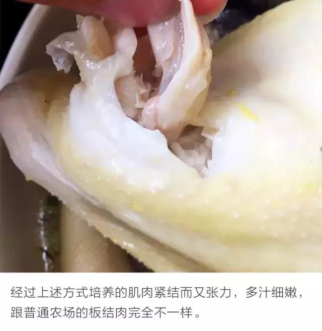 大概认识这个男人后，所有人都想做一只鸡。