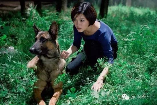 前方萌宠来袭！这些大陆宠物剧你都看过吗？