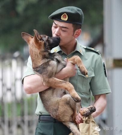 前方萌宠来袭！这些大陆宠物剧你都看过吗？
