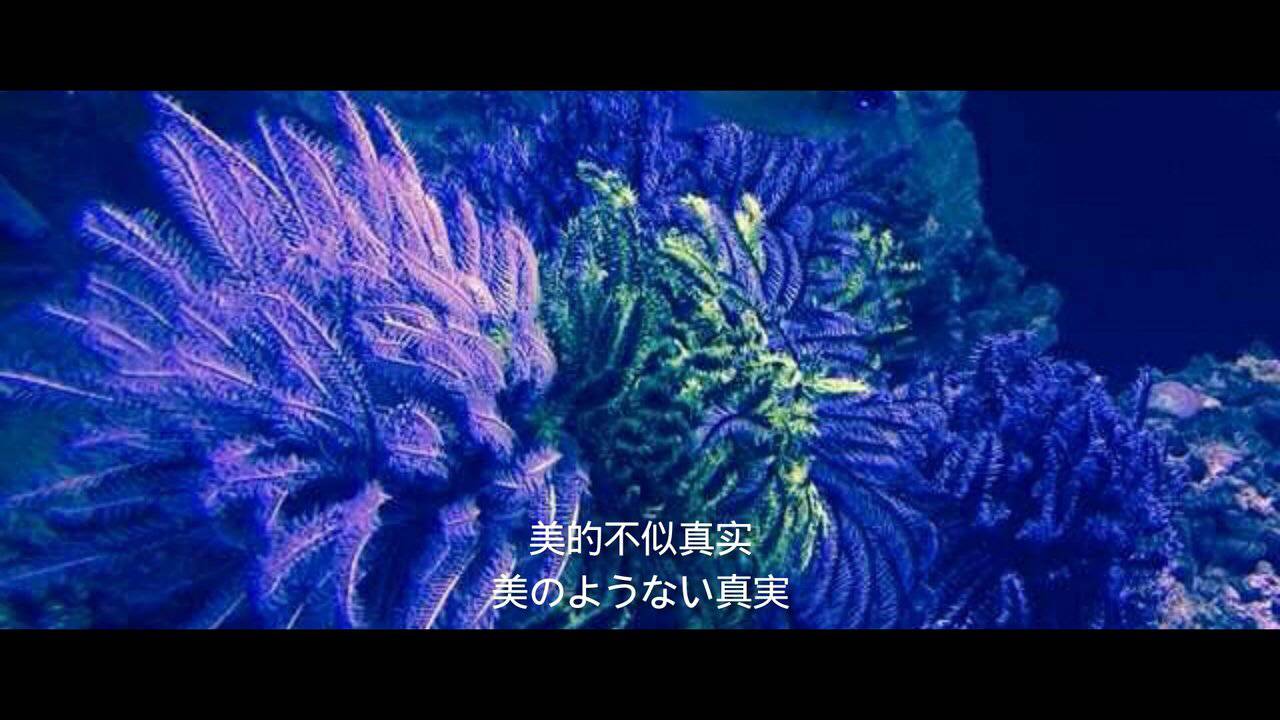 水母死后会变成水不留痕迹,水母死后真的会变成一滩水吗