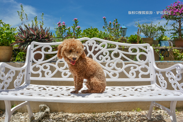 国内绝美海岛北海涠洲岛,中国十大最美海岛涠洲岛