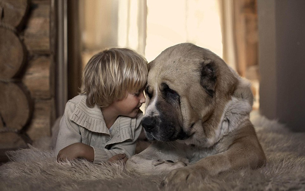 不一样的儿童狗狗,不一样的可爱的小狗狗