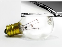 PS教程:灯泡中的金鱼