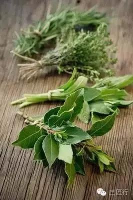 西餐里的那些“杂草”都是啥?一篇文章带你认识香草