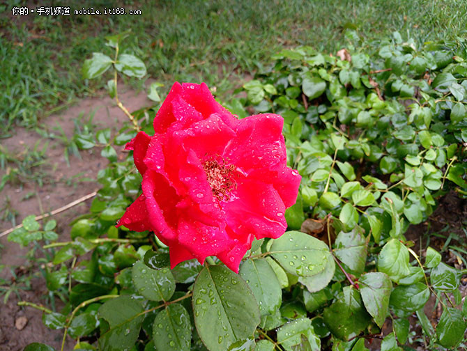 魅族mx6深度评测,魅族mx6曝光图