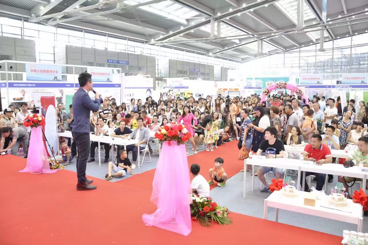 宠物婚礼,宠物婚礼祝贺视频