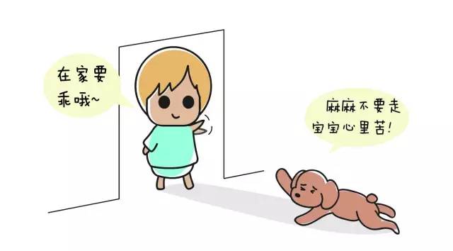 狗狗艾米搞破坏,狗狗为什么在家里搞破坏